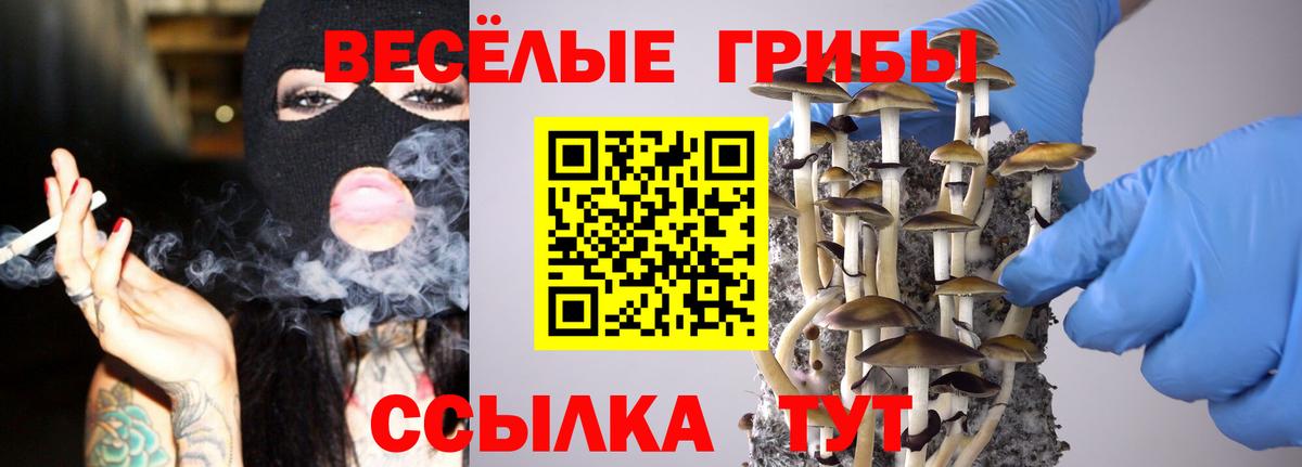 Галлюциногенные грибы мухоморы  Псилоцибиновые грибы Cubensis  Минусинск  Вход с VPN 